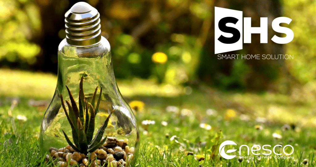Lampadina rovesciata appoggiata su prato verde con logo shs ed enesco. SHS è l'alternativa allo sconto in fattura.